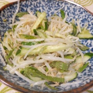 きゅうり・もやし・大葉のすり胡麻和え